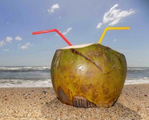 Caribbean coconut Vegan Perfume Oil by StationElephant.